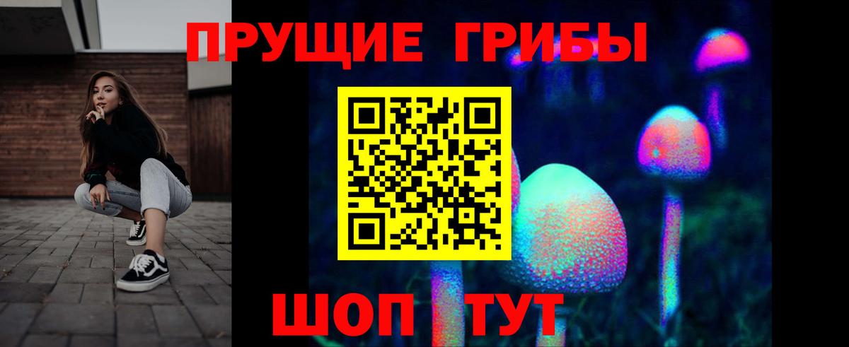 Галлюциногенные грибы ЛСД  Вход с VPN  Псилоцибиновые грибы ЛСД  купить наркотики цена  Вольск 