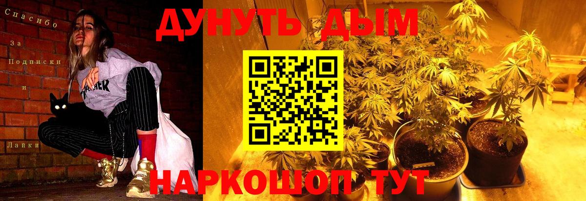 Бошки Шишки SATIVA & INDICA Вольск